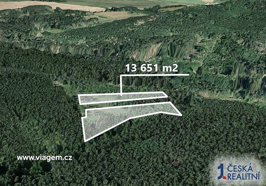 Prodej les - Dačice, okres Jindřichův Hradec, Jihočeský kraj - 2