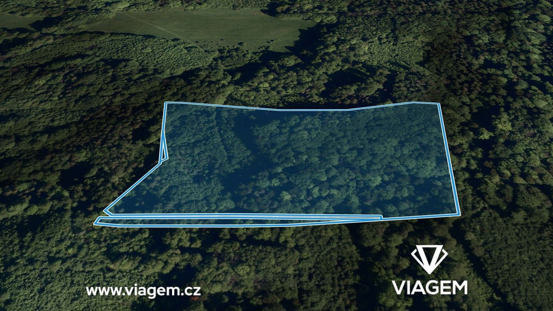 Prodej les - Životice u Nového Jičína, okres Nový Jičín, Moravskoslezský kraj - 2