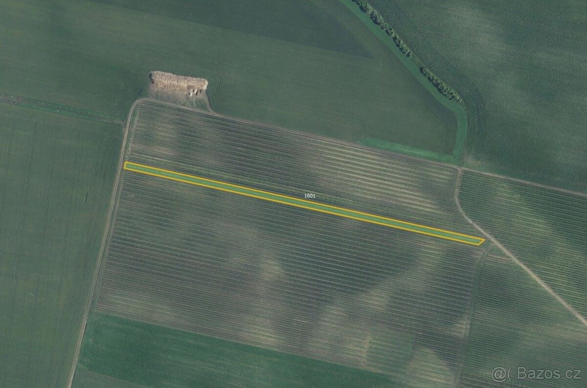 Pozemky pro bydlení, Čejč, 696 14