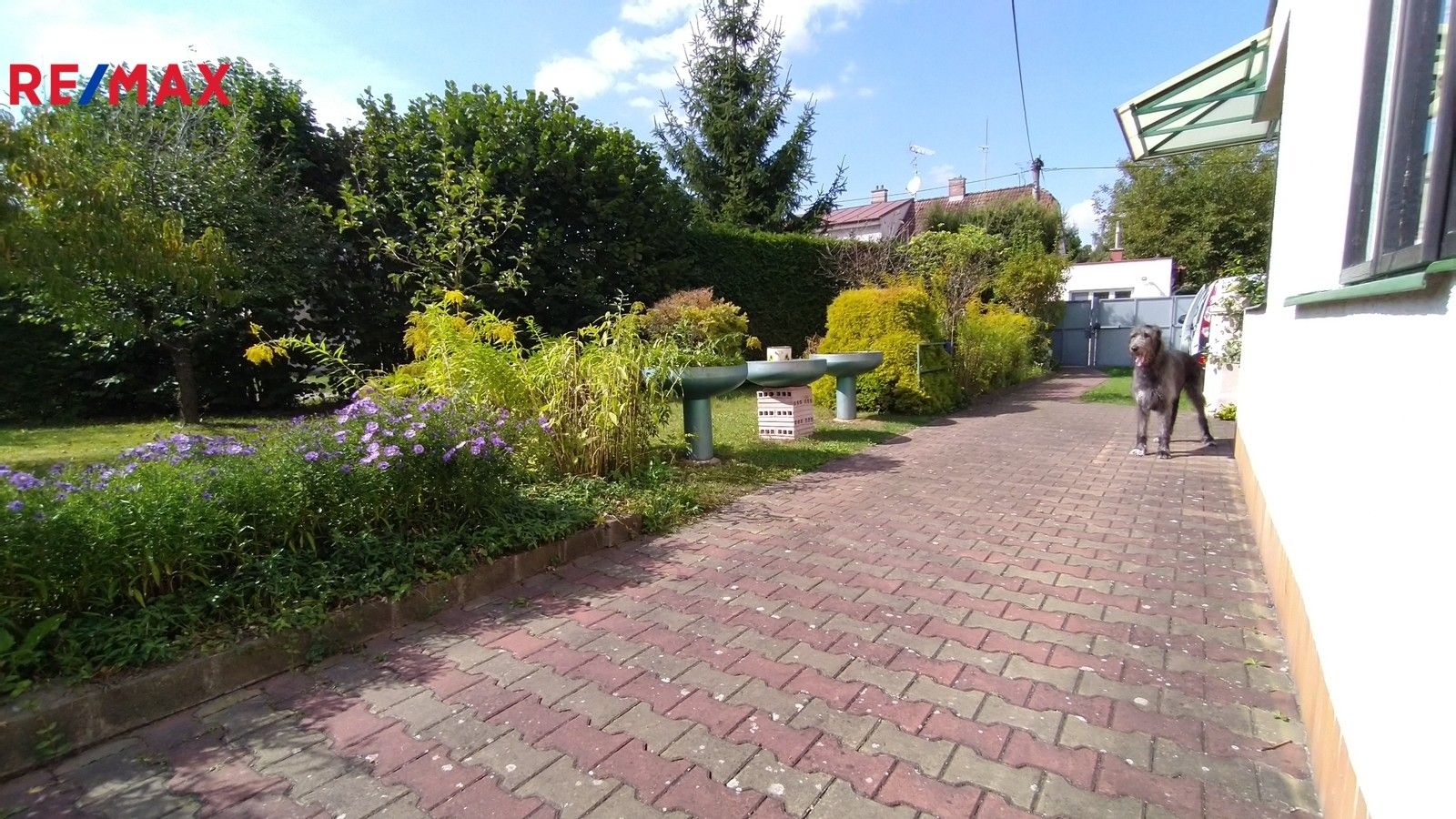 Prodej rodinný dům - Týnišťská, Třebechovice pod Orebem, 179 m²