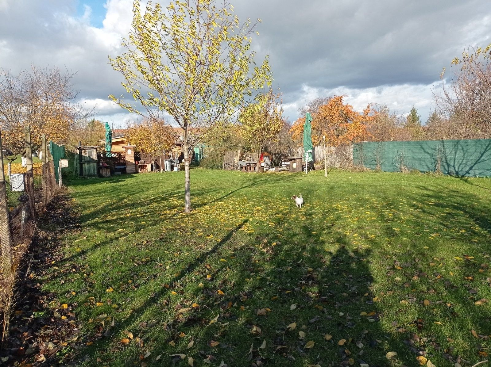 Pozemek pro bydlení · 1 285 m² · Rudé armády 1, Dolní Dunajovice - 4