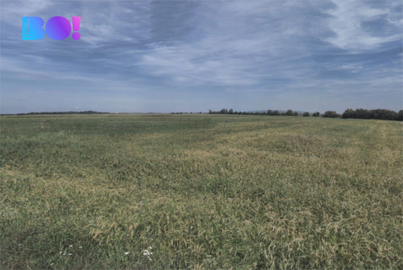 Prodej zemědělský pozemek - Přibice, 9 400 m² - 2