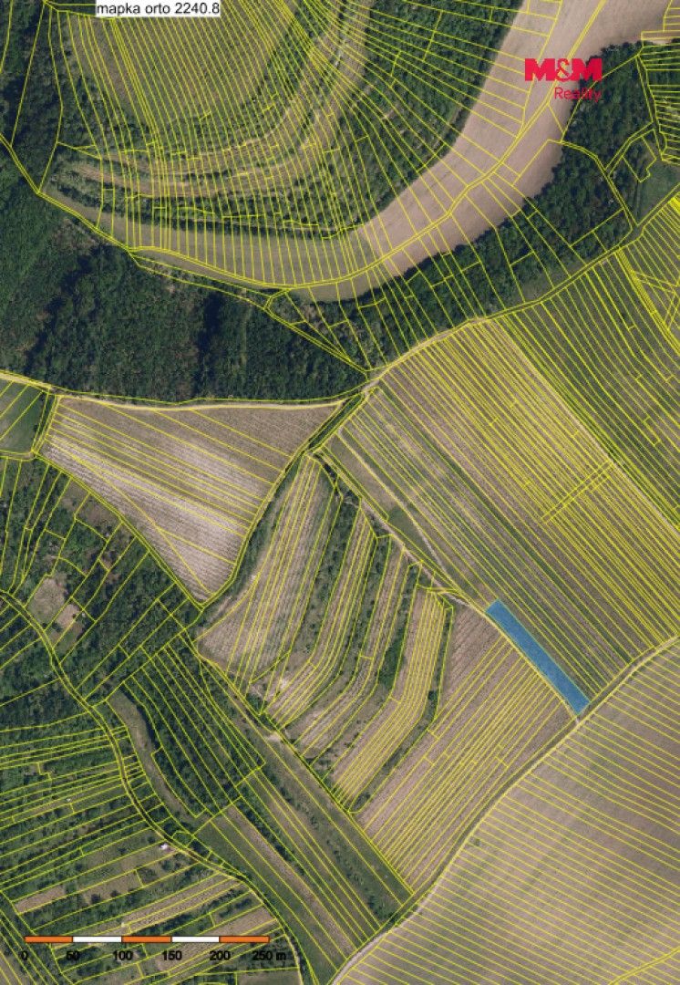 Zemědělské pozemky, Brumovice - 2
