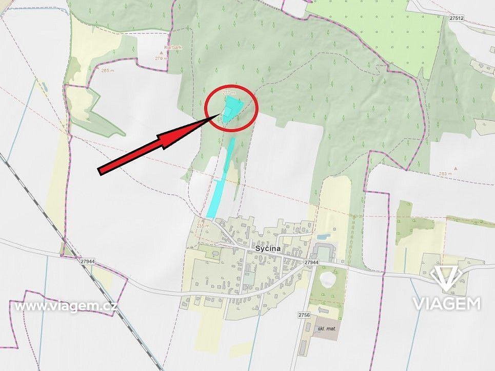 Les · Dobrovice, okres Mladá Boleslav, Středočeský kraj - 4