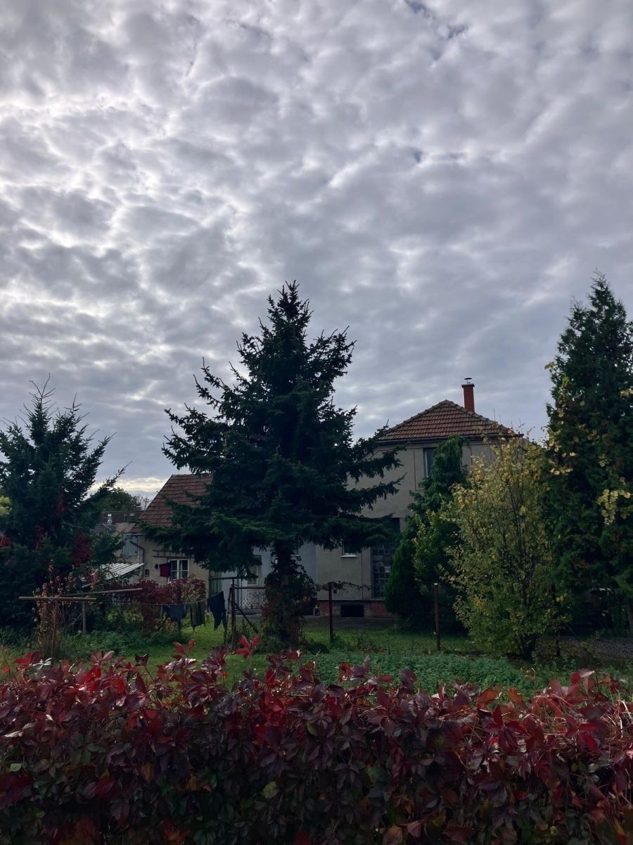 Prodej rodinný dům - Sokolečská, Poděbrady - Kluk, Středočeský kraj, 196 m² - 2