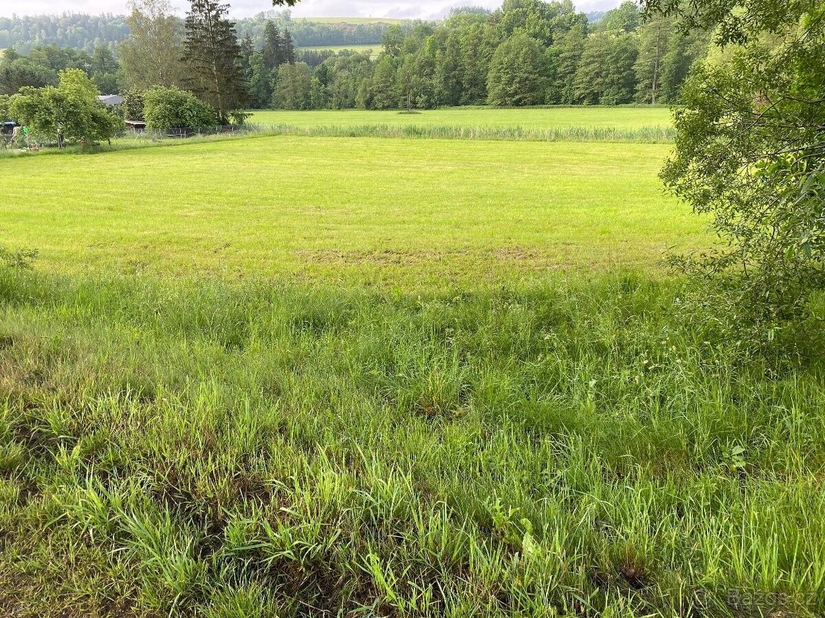 Prodej pozemek pro bydlení - Slaná u Semil, 512 01