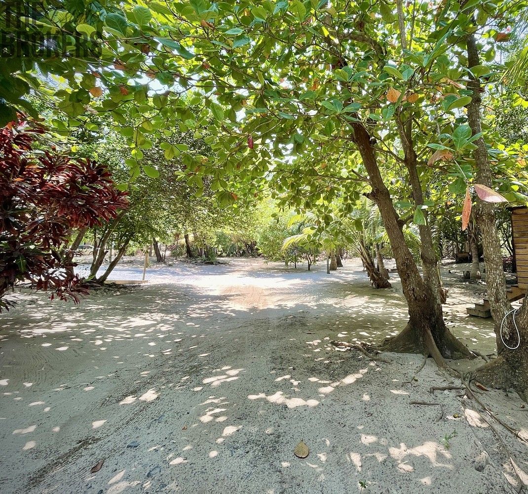 Rodinný dům · 1 022 m² · Roatan, Roatán, Honduras - 4