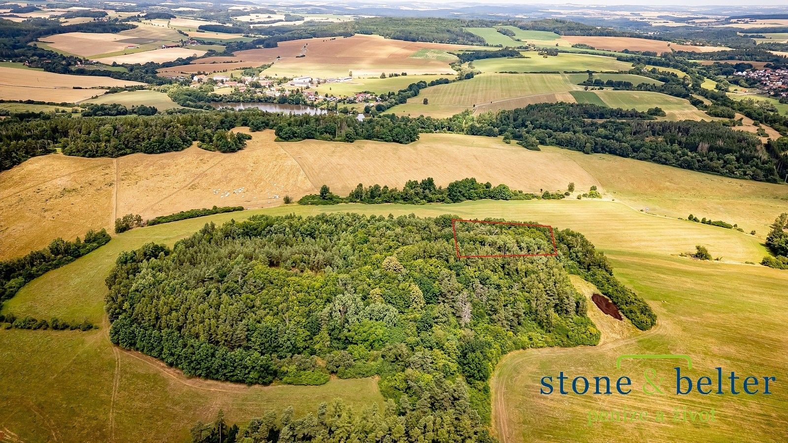 Les · Zvěstov, okres Benešov, Středočeský kraj - 4
