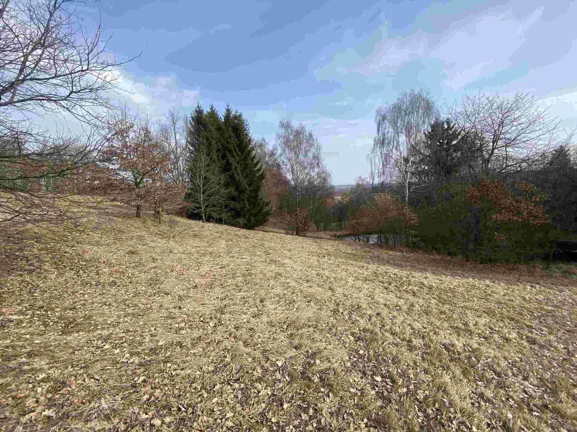 Pozemky pro bydlení, Nové Hrady, 2 407 m² - 2