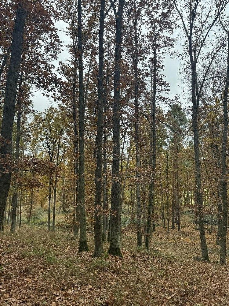 Ostatní, Dolní Lukavice - Nýřany - 1