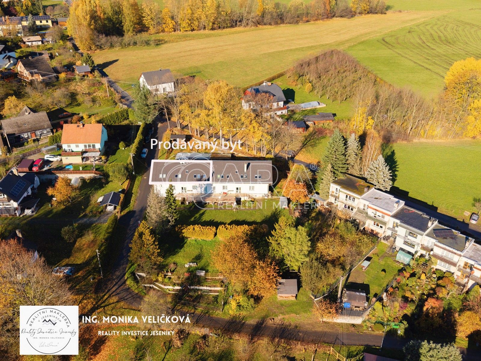 4+1, Železná, Vrbno pod Pradědem, 135 m²