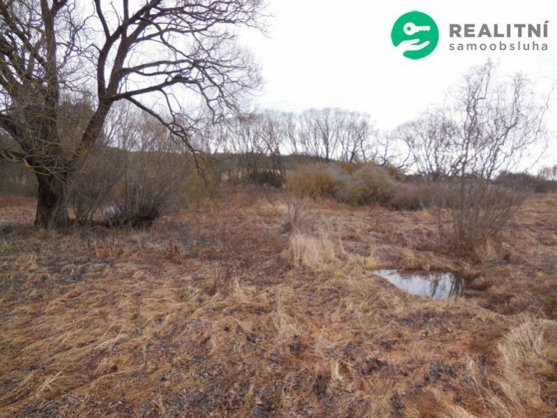 Prodej zahrada - Bezemín, Cebiv, 6 745 m²