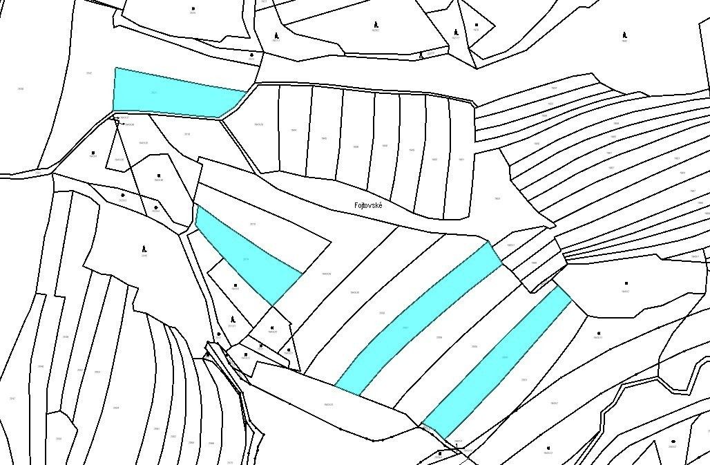 Prodej zemědělský pozemek - Střelná