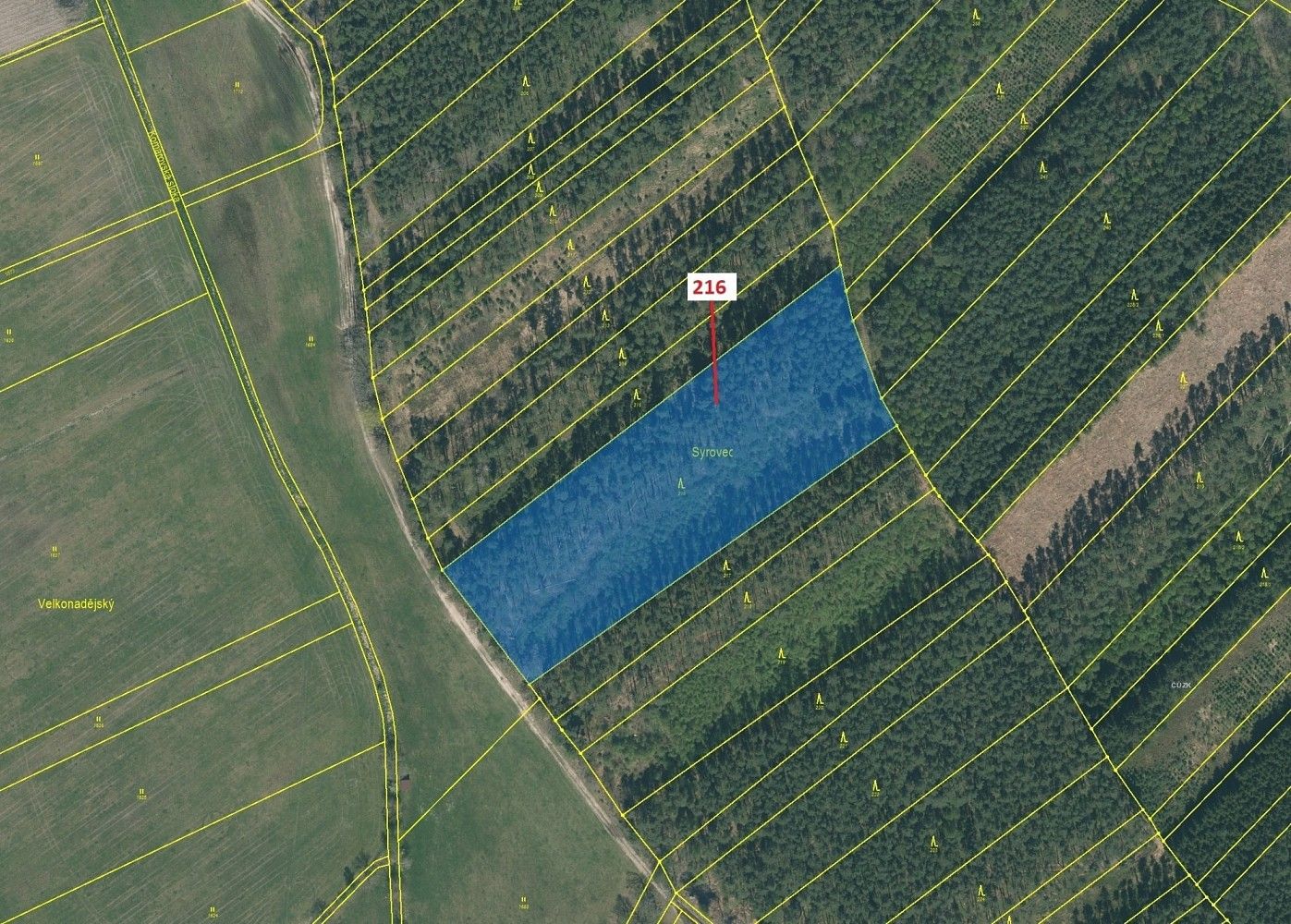 Lesy, Komárov - 2