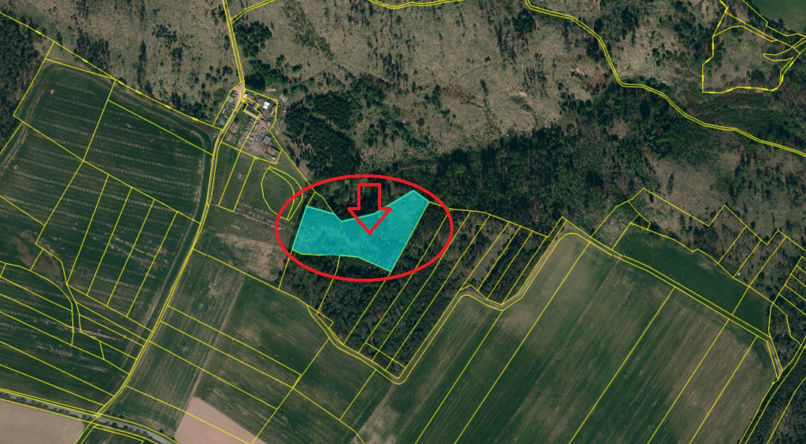 Prodej les - Zahrádka, okres Třebíč, Kraj Vysočina - 2