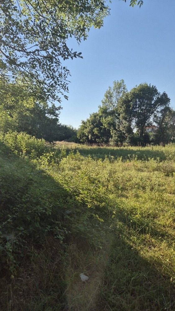 Pozemek pro bydlení, 963 m²