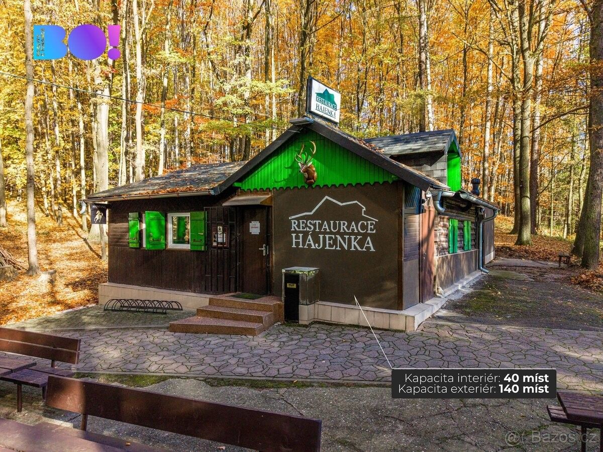 Restaurace, Orlová, 735 14