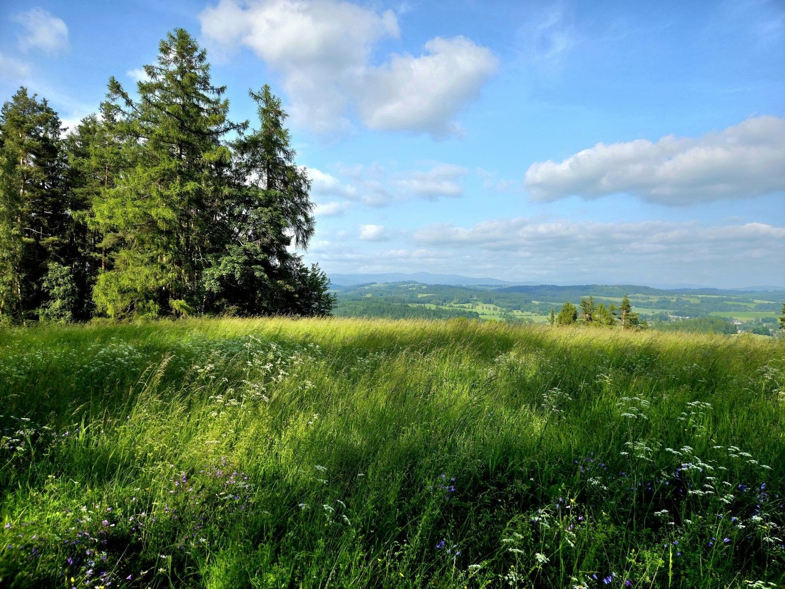 Louky, Vlastiboř, 10 451 m²