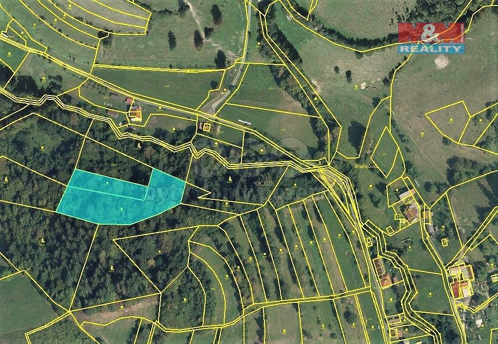 Les · Huslenky, okres Vsetín, Zlínský kraj - 3