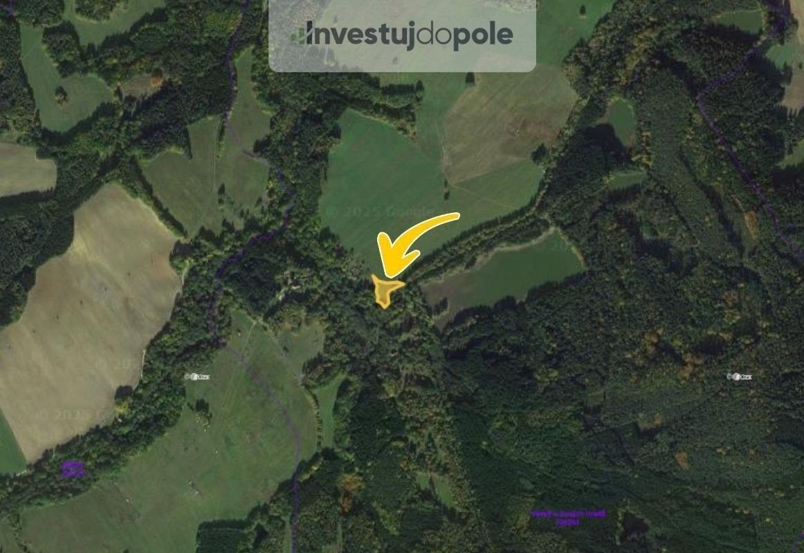 Prodej louka - Veveří, Nové Hrady, 3 100 m²