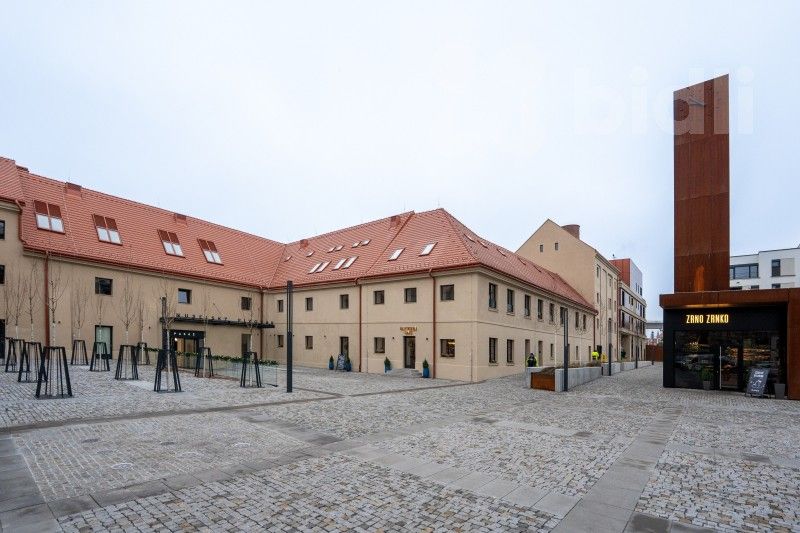 1+kk, Nusle, Praha, 41 m²