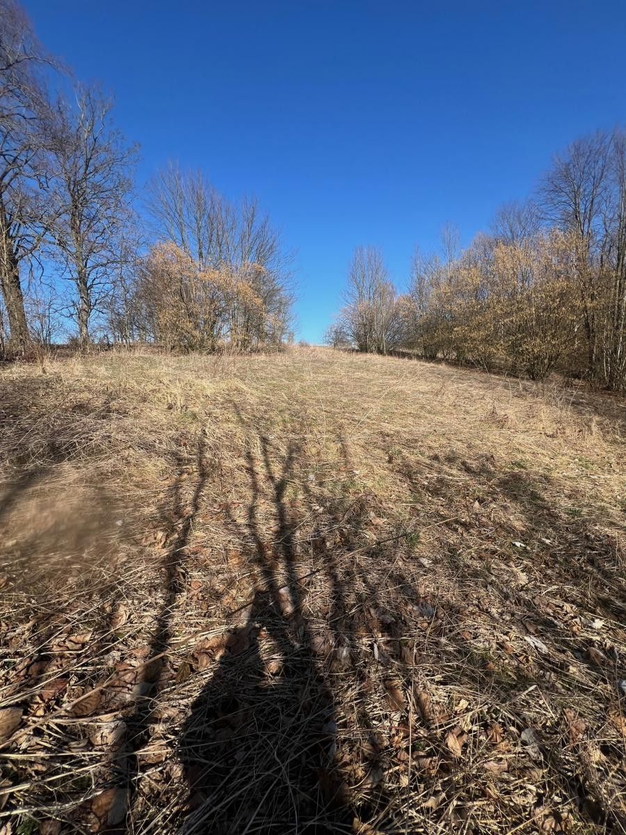 Pozemek pro bydlení · 6 057 m² · Dětřichov, Svitavy - 3