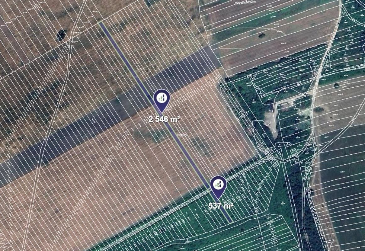 Prodej zemědělský pozemek - Javorník, 60 562 m²