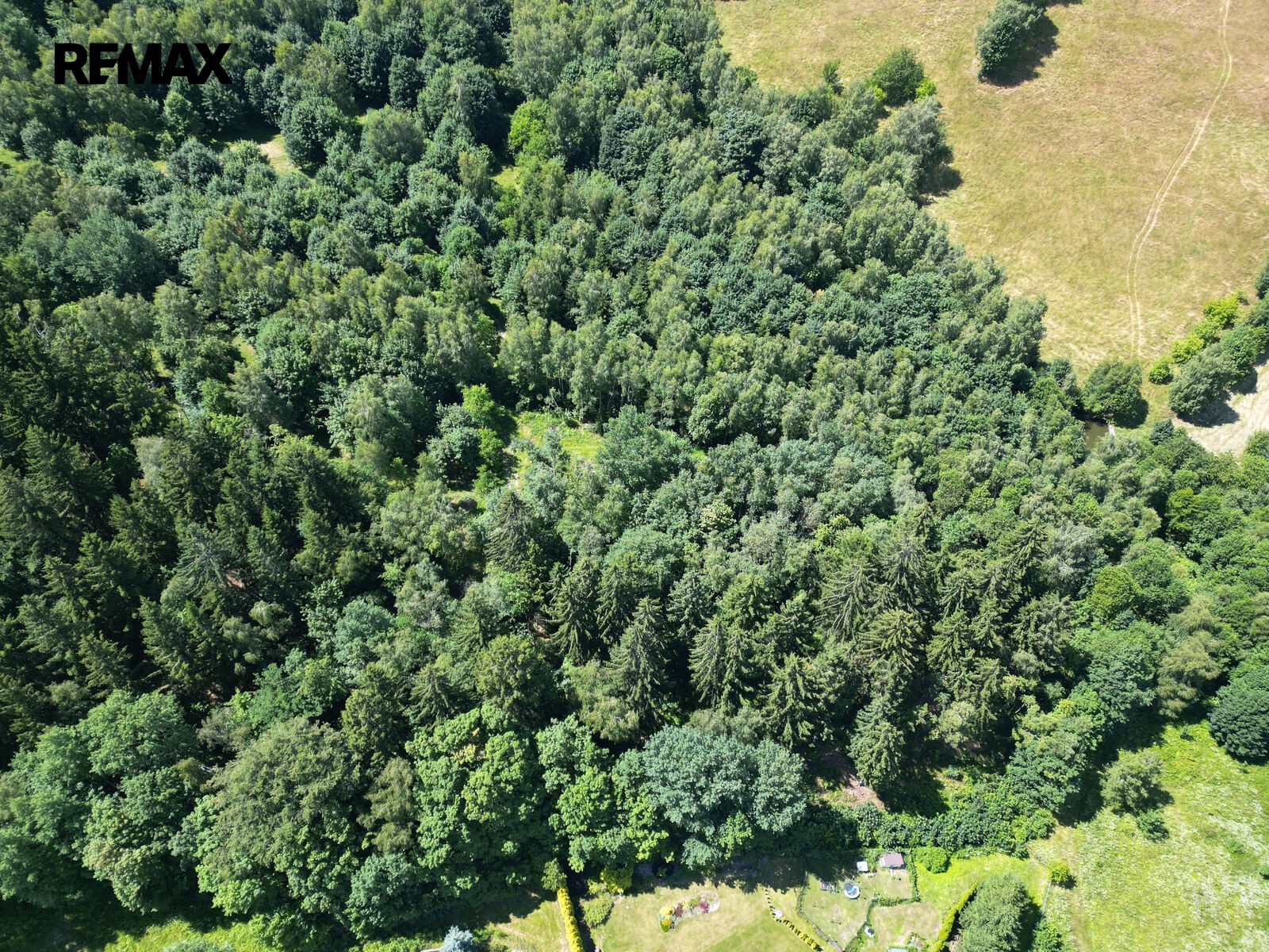 Les · 4 606 m² · Šimonovice - 3