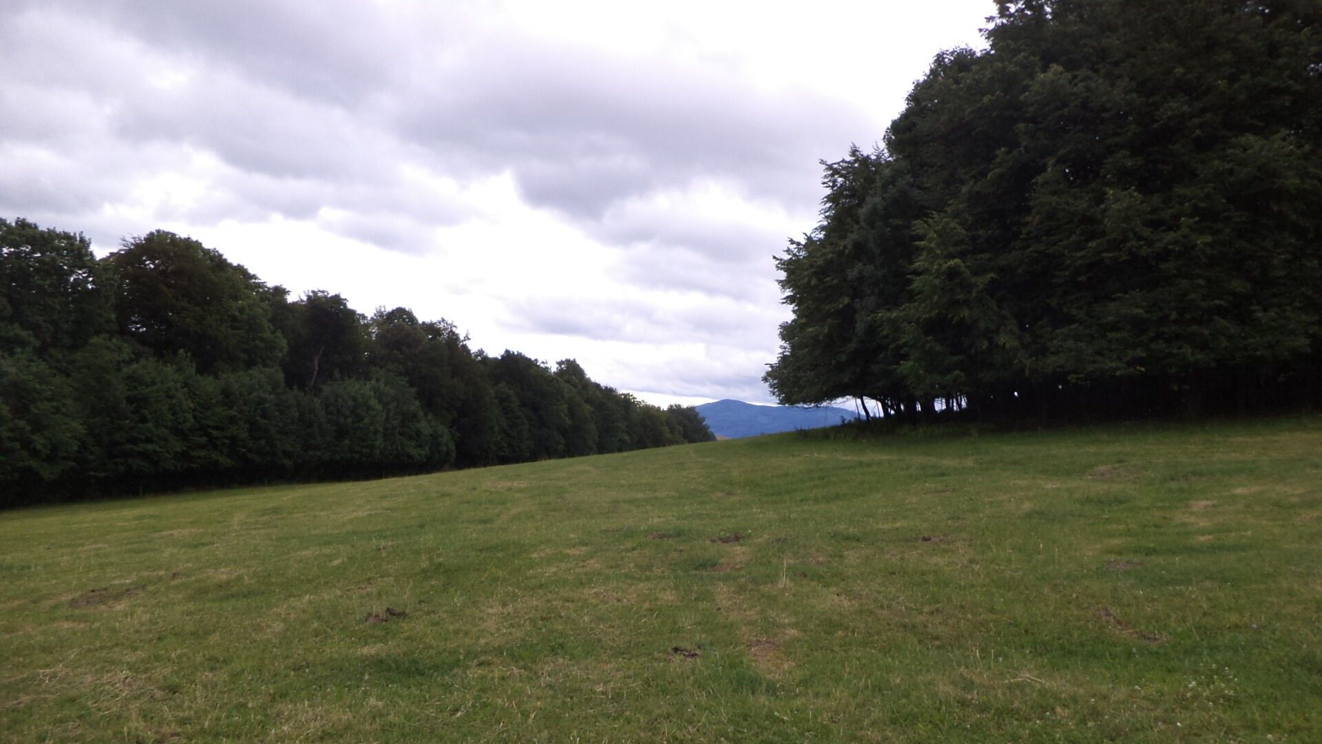 Prodej pozemek - Vlčice, 1 m²