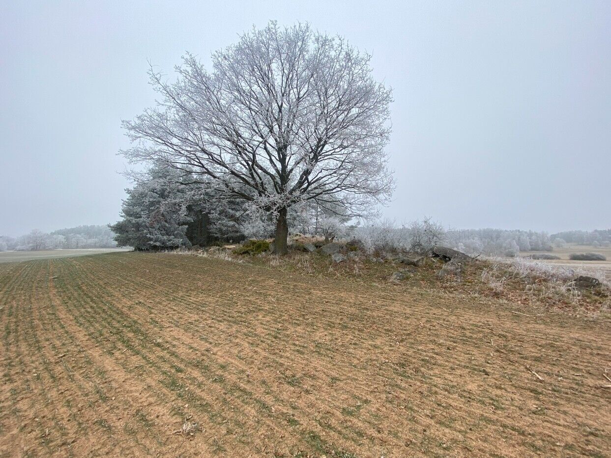 Prodej zemědělský pozemek - Slatina, 13 059 m² - 5