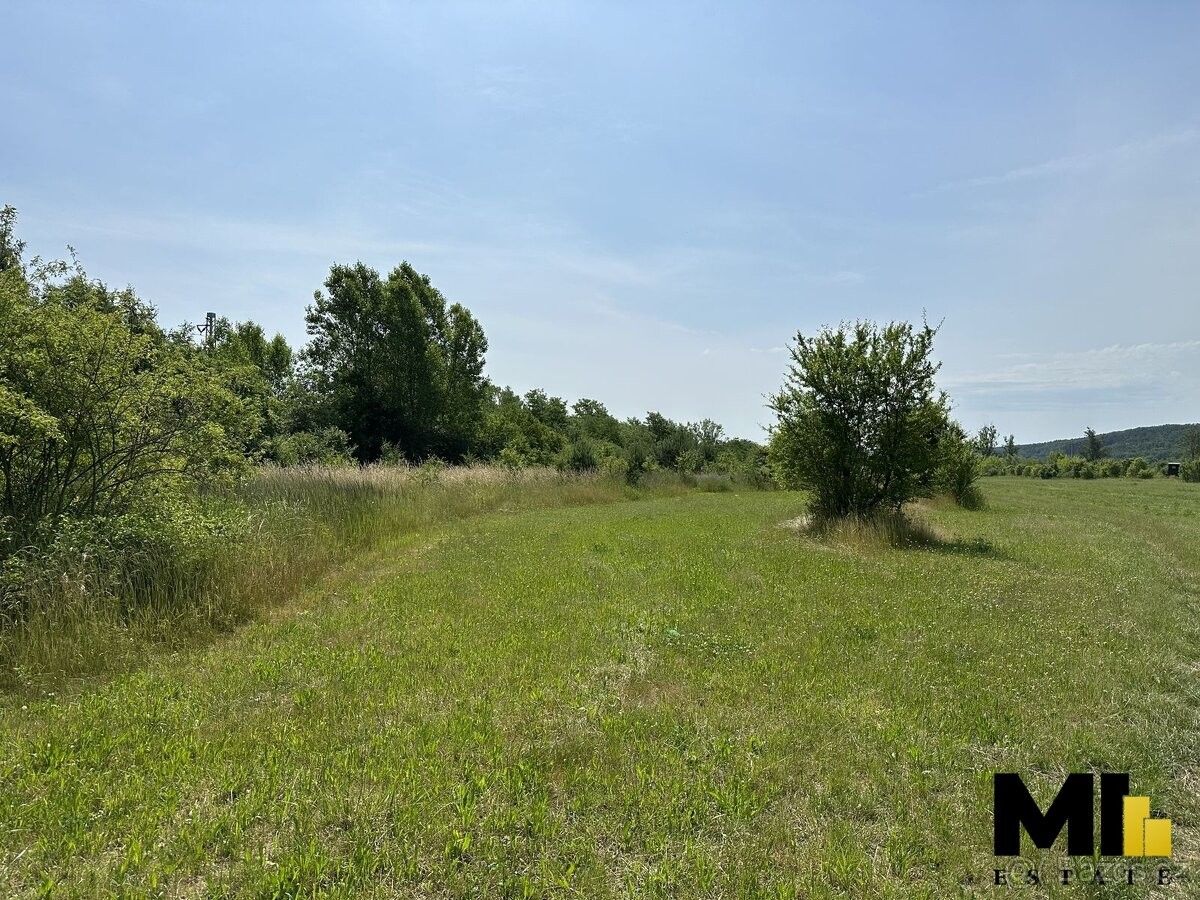 Prodej pozemek pro bydlení - Bechlín, 411 08