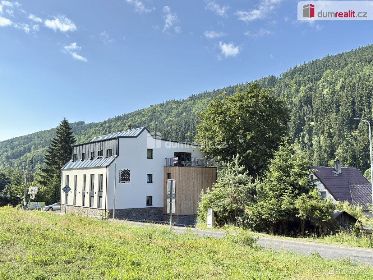 Byt · Ostrov nad Ohří, 363 01 - 3