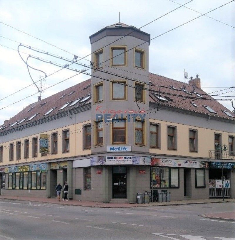 Obchodní prostory, Rudolfovská tř, České Budějovice 3, Česko, 28 m²