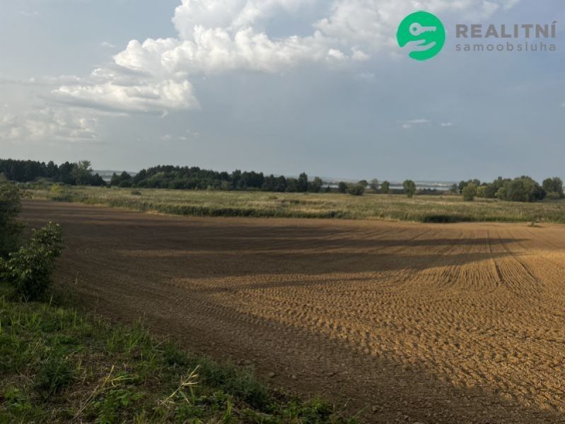 Prodej zemědělský pozemek - Pavlov, 6 292 m²