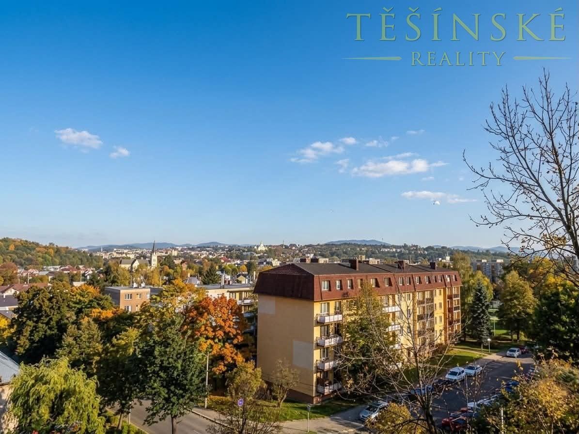 Prodej byt 1+1 - Hrabinská, Český Těšín, 43 m² - 5