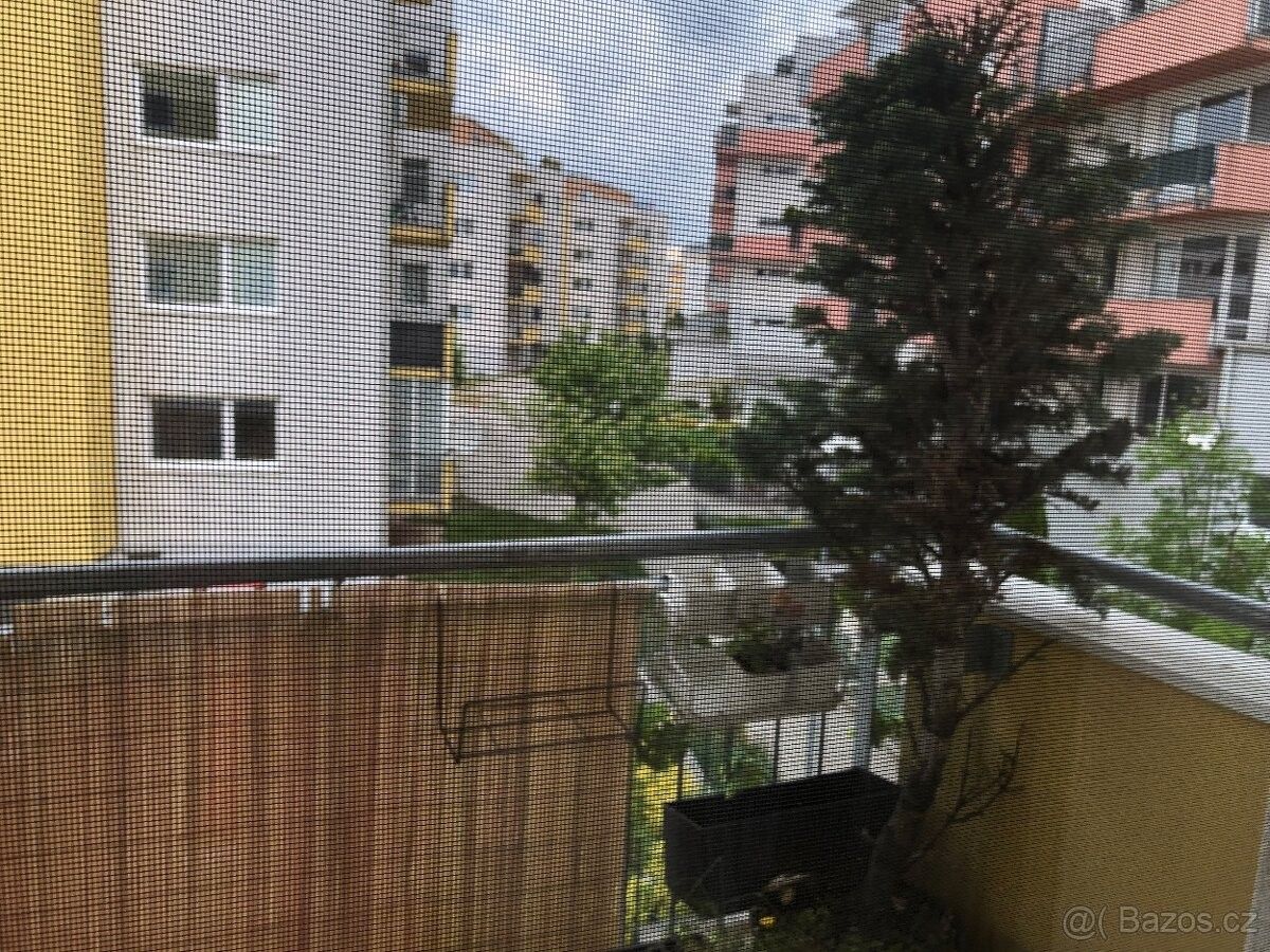 Prodej byt - Brno, 641 00