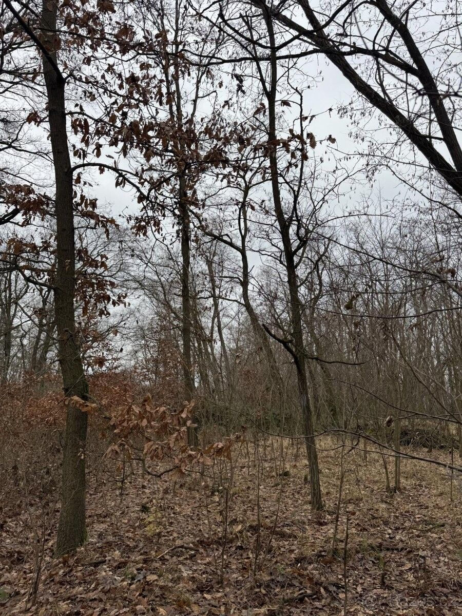 Pozemky pro bydlení, Moravský Krumlov, 672 01