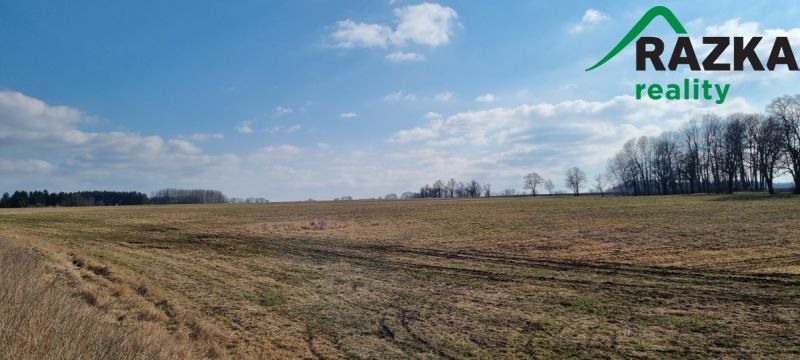 Pozemky pro bydlení, Tachov, 347 01