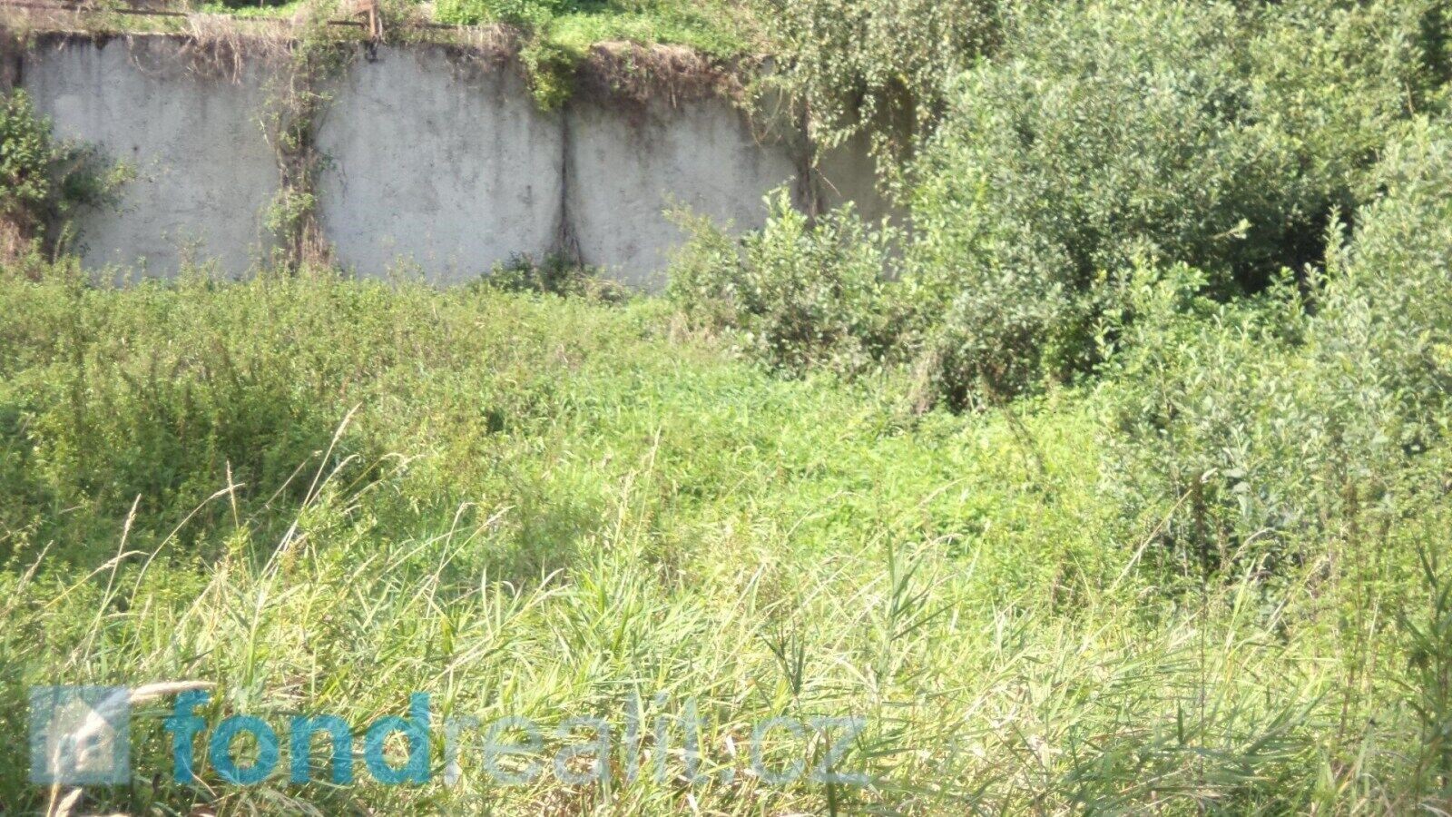 Prodej louka - Přešťovice Brusy, 828 m² - 5