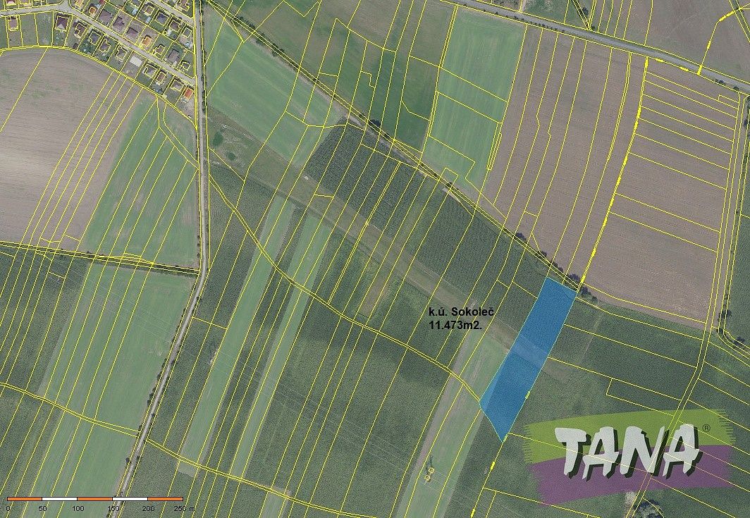 Zemědělské pozemky, Sokoleč, okres Nymburk, Středočeský kraj - 2