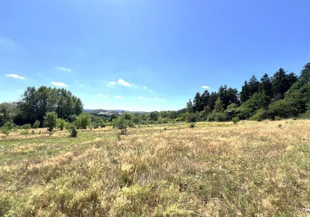 Pozemek · Libá - 3