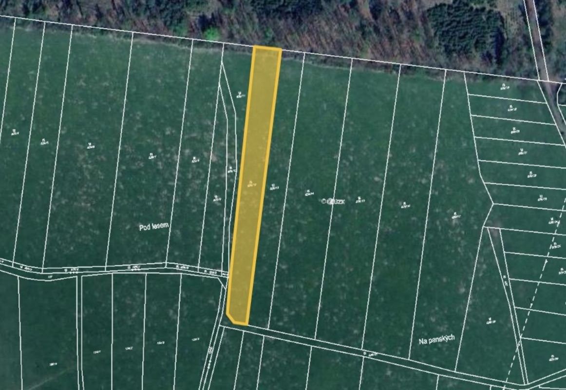 Louky, Čížkov, 4 209 m²