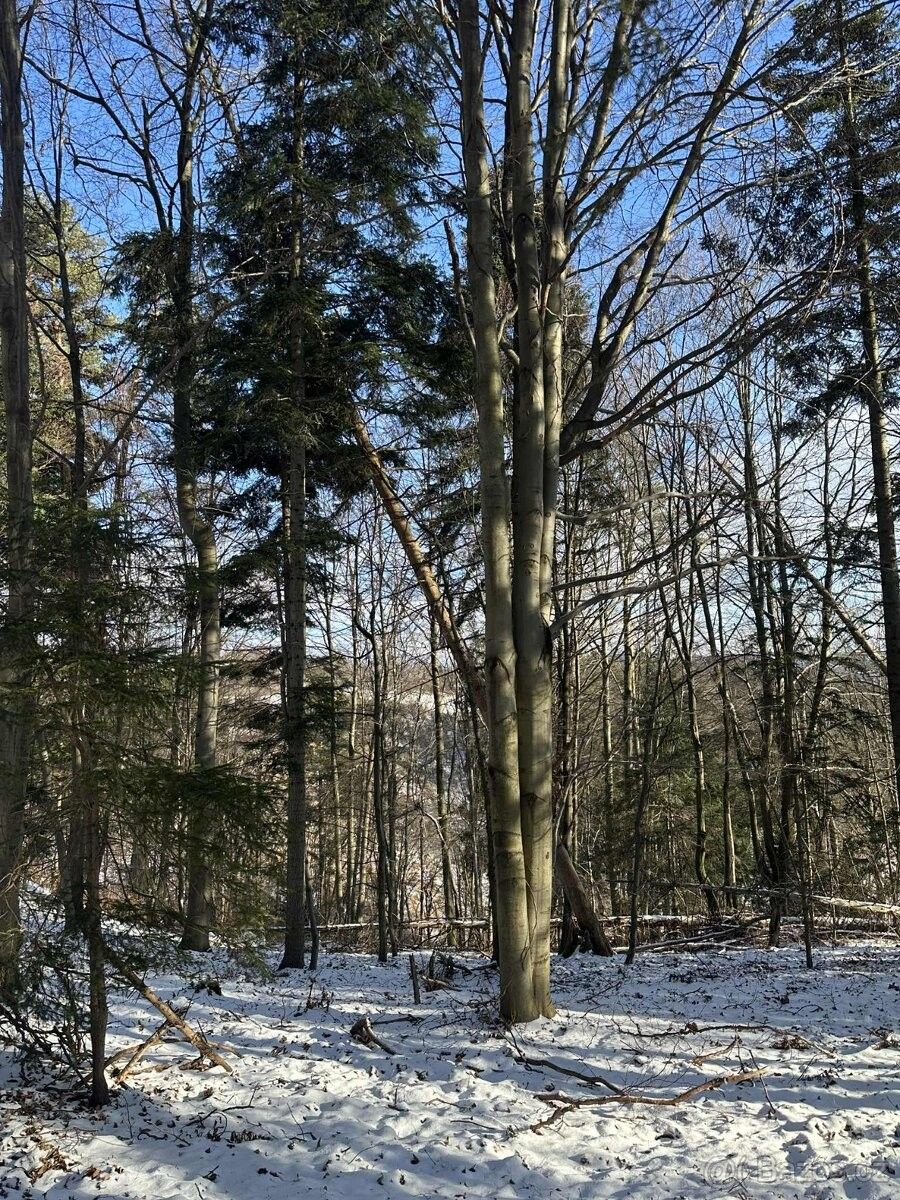 Pozemky pro bydlení, Valašské Meziříčí, 757 01