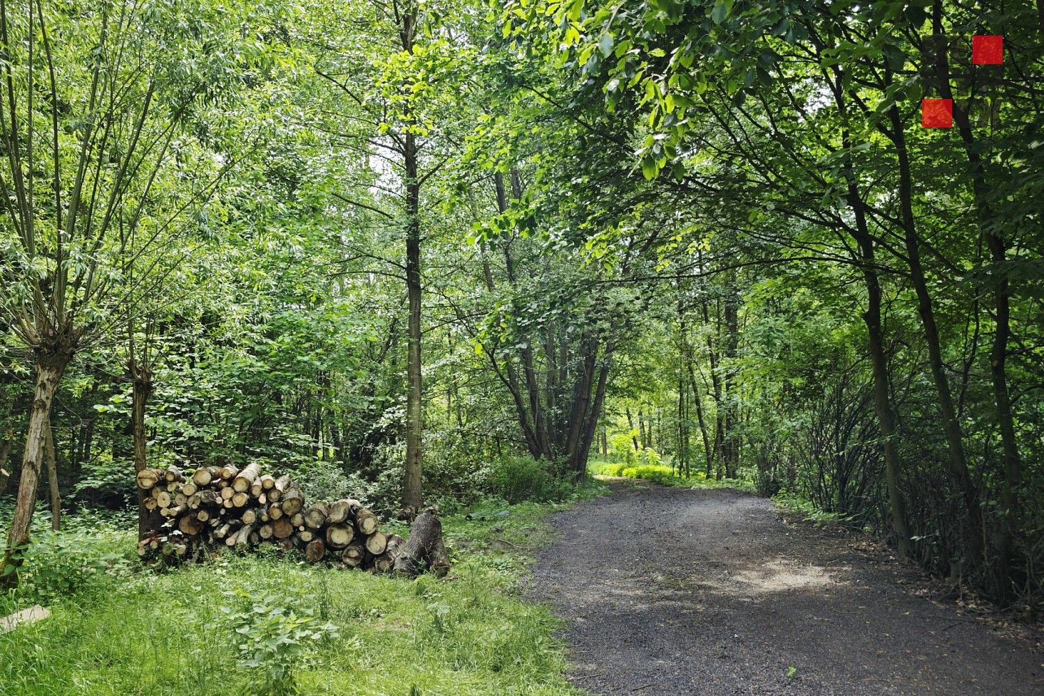 Rodinný dům · 250 m² · K Rybníku, Hrádek nad Nisou - Donín, okres Liberec - 4