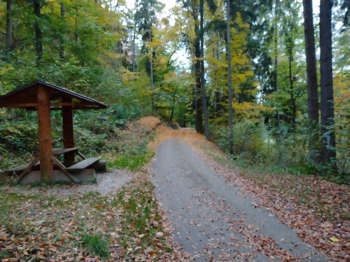Pozemky pro bydlení, Budětice, 342 01