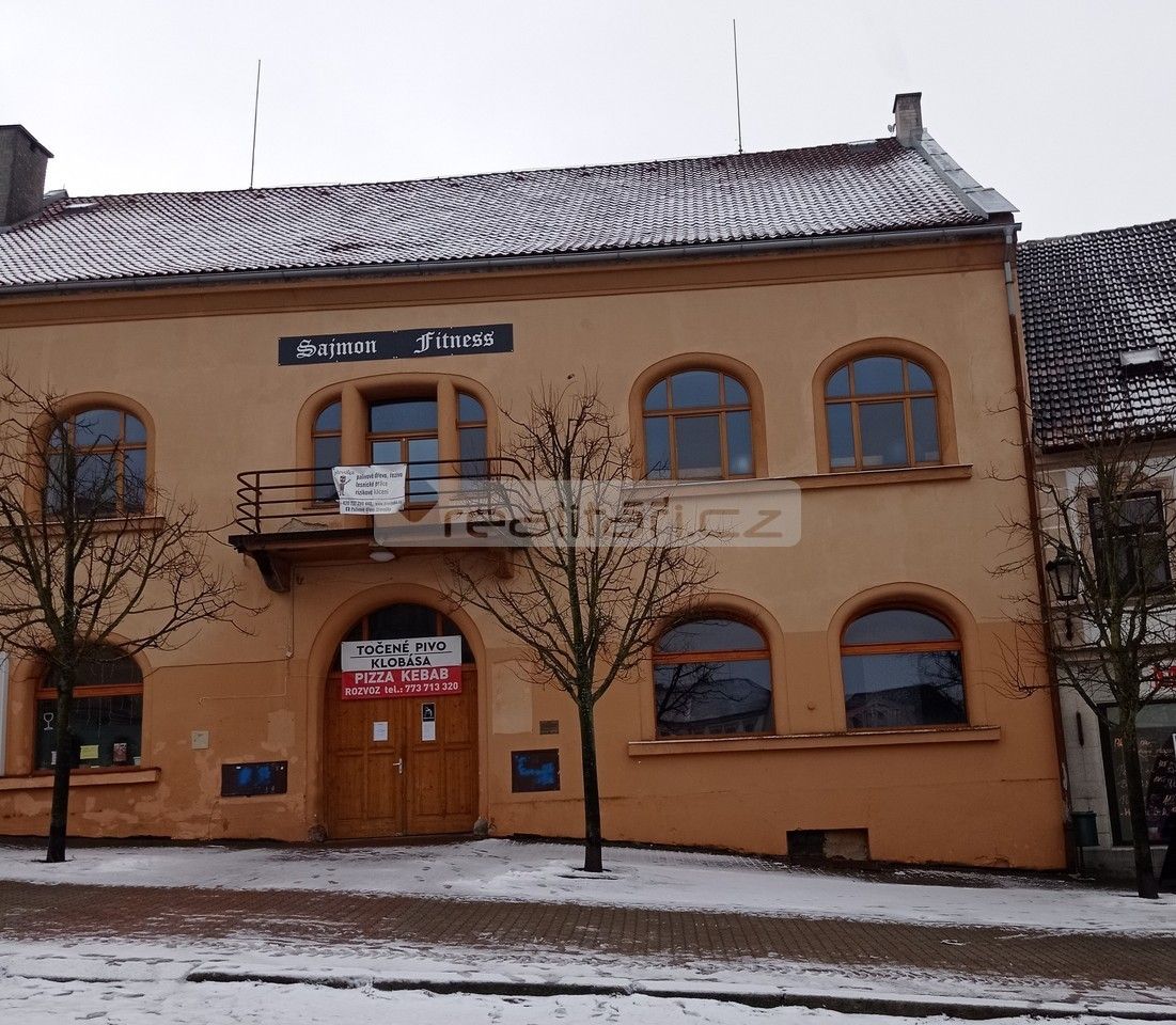 Obchodní prostory, Nepomuk, 335 01