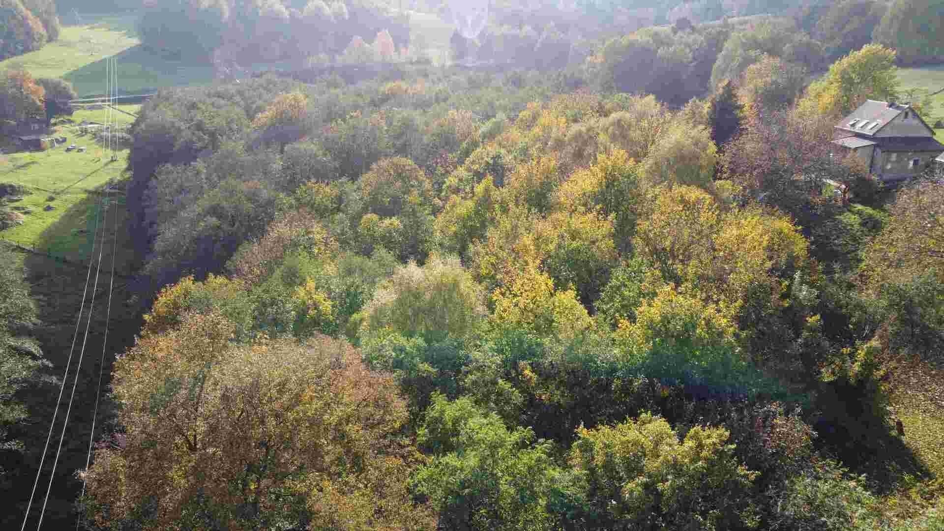 Prodej pozemek - Dolní Sedlo, Hrádek nad Nisou, 543 m²