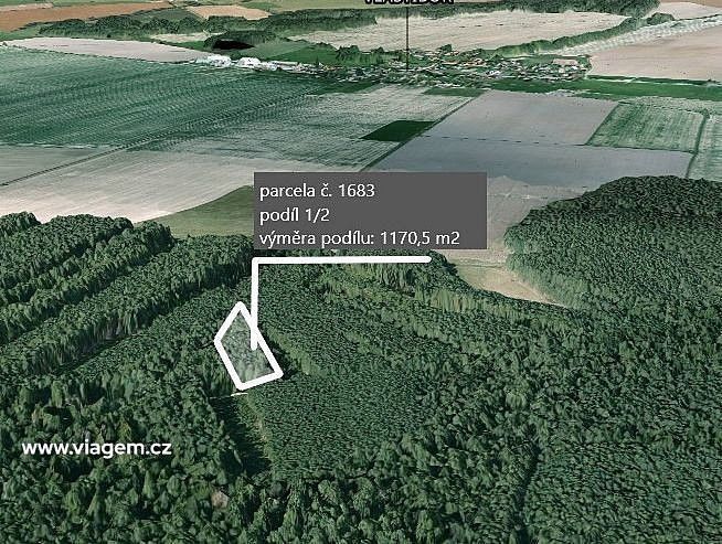 Prodej les - Vlastiboř, okres Tábor, Jihočeský kraj - 2