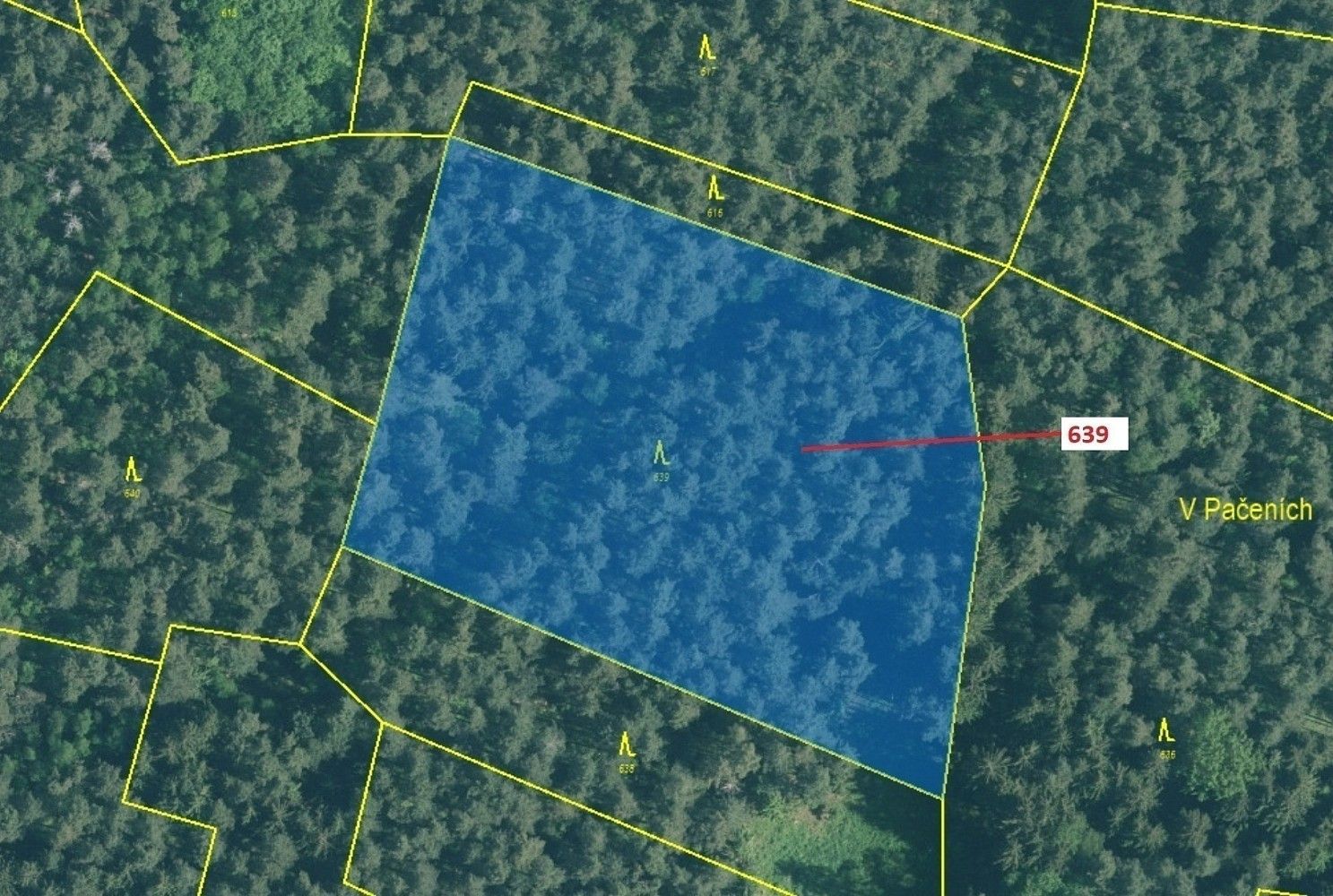 Les · Kuřimany, okres Strakonice, Jihočeský kraj - 2