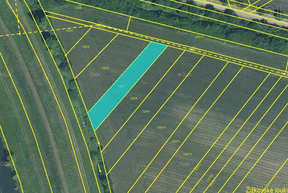 Zemědělské pozemky, Ladná, 691 46, 1 070 m²